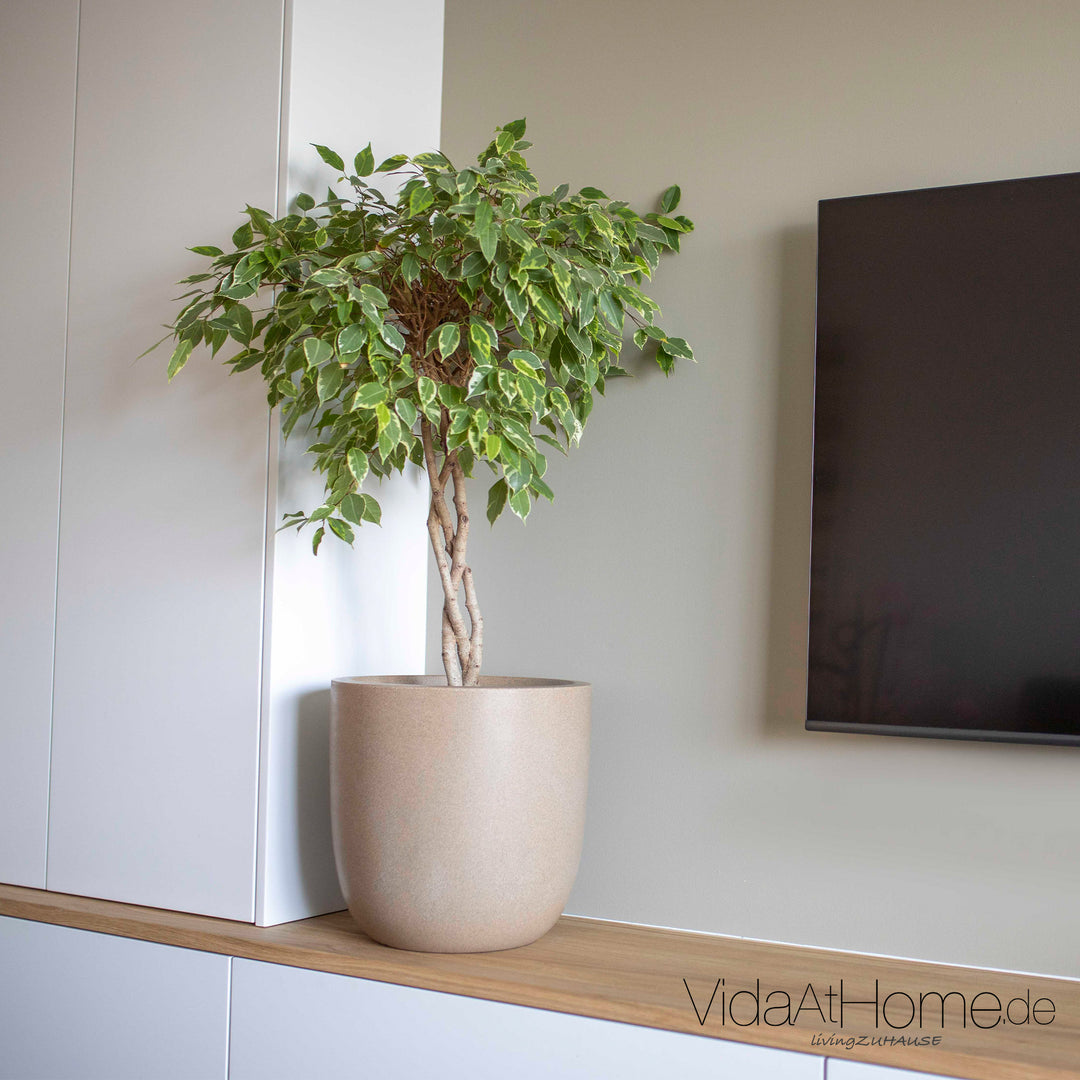 CAPI Pflanzgefäße-Set WASTE SMOOTH ø 35er & 43er